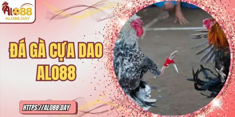 Đá gà cựa dao ALO88 – Đối kháng đỉnh cao với thưởng hấp dẫn 5 Đá gà cựa dao ALO88 – Đối kháng đỉnh cao với thưởng hấp dẫn