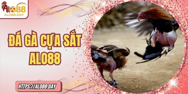 Đá gà cựa sắt ALO88 – Đối kháng đỉnh cao, gay cấn từng phút 2 Đá gà cựa sắt ALO88 – Đối kháng đỉnh cao, gay cấn từng phút