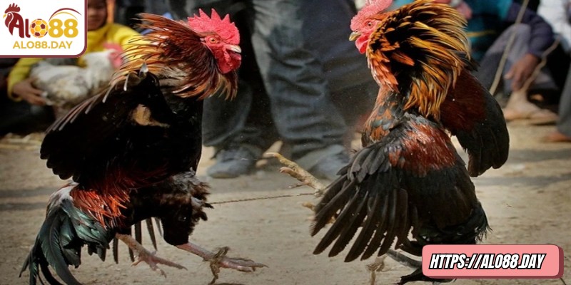 Nền tảng mã hóa hiện đại giúp dữ liệu cá nhân an toàn tuyệt đối