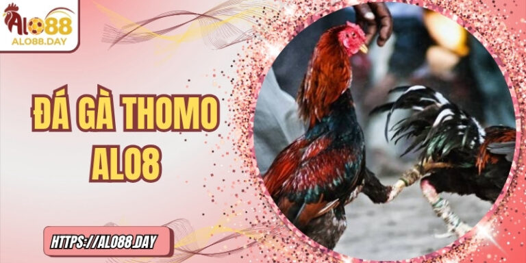 Đá gà Thomo ALO88 – Sôi động từng phút tại trường quốc tế 6 Xem thêm: Đá gà Thomo ALO88 – Sôi động từng phút tại trường quốc tế – Sôi động từng phút tại trường quốc tế