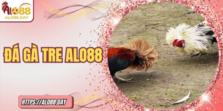 Đá gà tre ALO88 – Thử thách tốc độ và kỹ năng cá cược 3 Đá gà tre ALO88 – Thử thách tốc độ và kỹ năng cá cược
