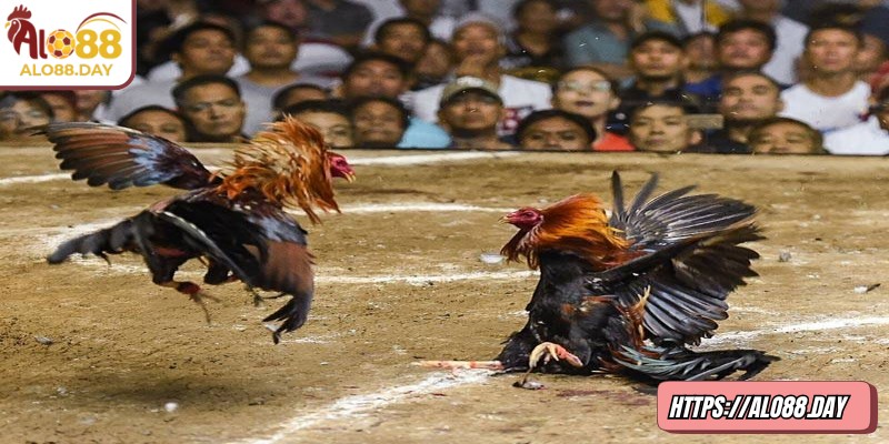 Kiểm soát nguồn vốn hạn chế thua lỗ khi gặp tình huống bất lợi