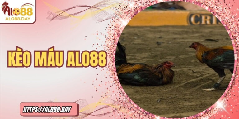 Kèo máu ALO88 – Thử thách cảm xúc, chinh phục chiến thắng 1 Kèo máu ALO88 – Thử thách cảm xúc, chinh phục chiến thắng